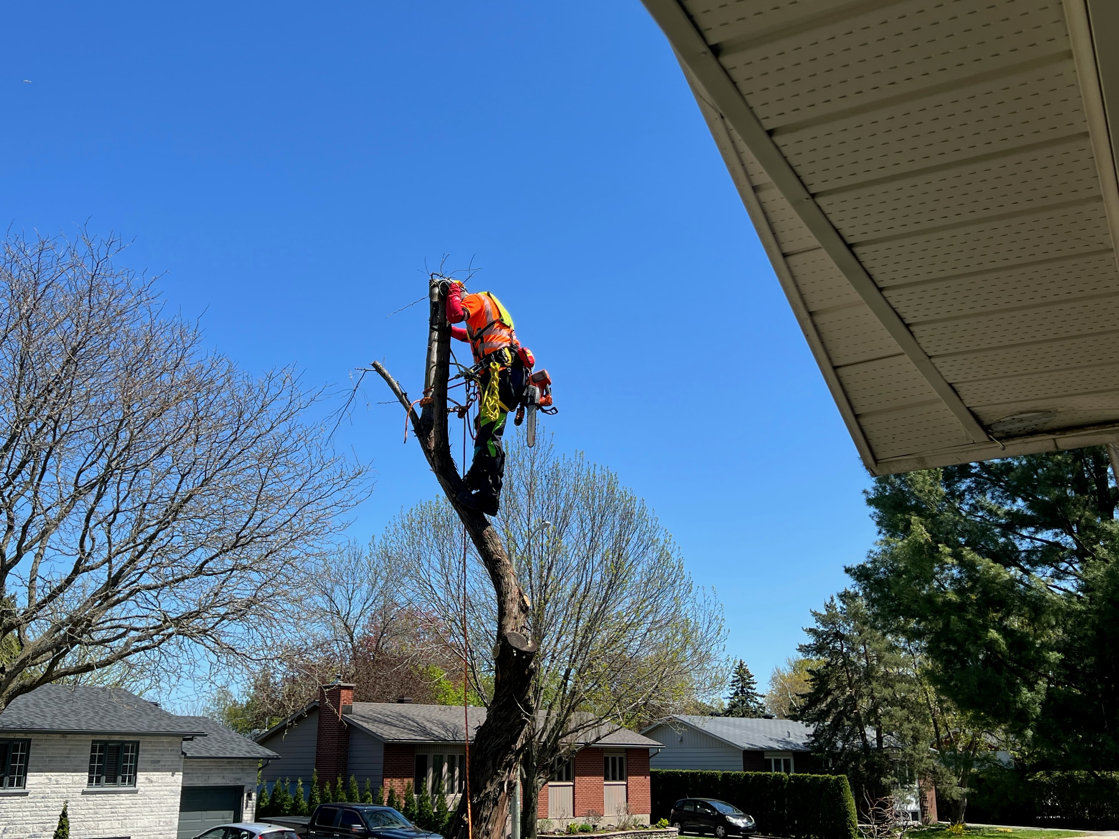 Fertilisation et décompactions de sol